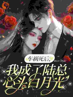 车祸死后，我成了陆总心头白月光全集小说