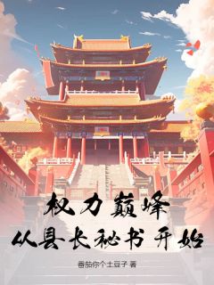 权力巅峰：从县长秘书开始全章阅读