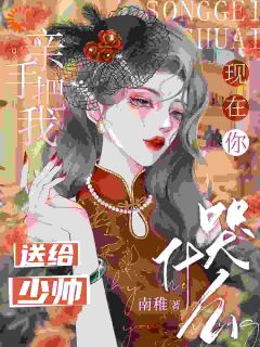 亲手把我送给少帅，现在你哭什么完整文集阅读