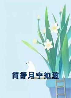 简舒月宁如澈畅销巨著