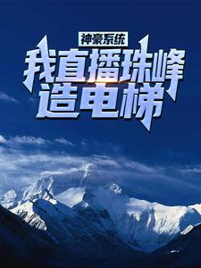 神豪系统：我直播珠峰造电梯！完整文集阅读