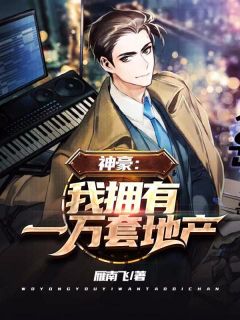 神豪：我拥有一万套地产高质量小说