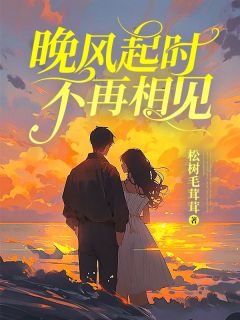 晚风起时不再相见精选小说