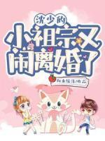 沈少的小祖宗又闹离婚了高质量小说