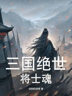 三国绝世将士魂完整文集阅读