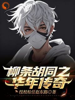 柳条胡同之华年传奇完整版
