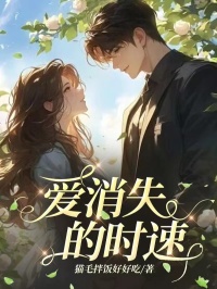 爱消失的时速精选小说