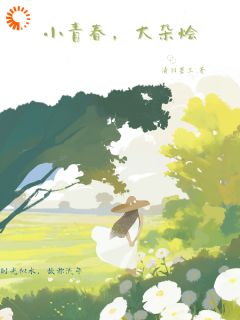 小青春，大杂烩最新热门小说