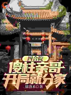 四合院：傻柱亲哥，开局就分家完整版