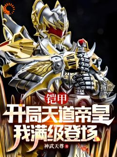 铠甲：开局天道帝皇，我满级登场全文阅读