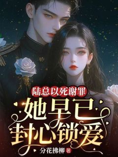 陆总以死谢罪，她早已封心锁爱精选小说