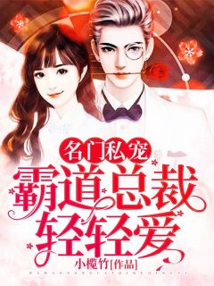 名门私宠：霸道总裁轻轻爱全集小说推荐
