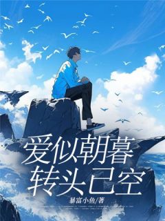 爱似朝暮，转头已空精选小说