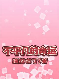 不平凡的命运热门小说