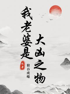 我老婆是大凶之物全集小说推荐