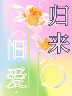 旧爱归来畅销巨著