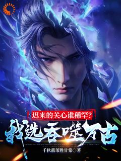 迟来的关心谁稀罕？我选吞噬万古全集小说