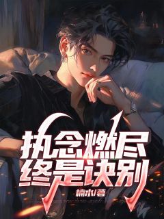 执念燃尽，终是诀别全集小说
