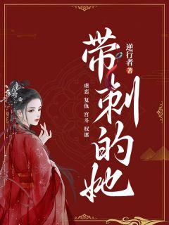 带刺的她精选小说