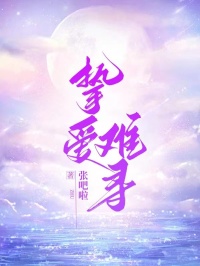 挚爱难寻全章阅读
