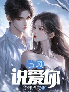 追风说爱你高质量小说