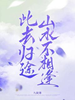 此去归途，山水不相逢畅销巨作