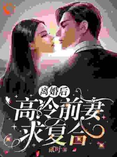离婚后，高冷前妻求复合精选小说