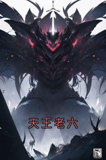 天王老六畅销小说推荐