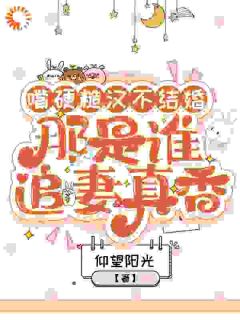 嘴硬糙汉不结婚，那是谁真香追妻畅销小说推荐
