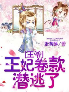 王爷，王妃卷款潜逃了精选小说