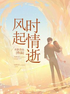 风起时情逝完整文集阅读