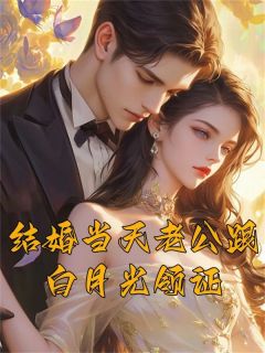 傅渊沈茉长篇小说