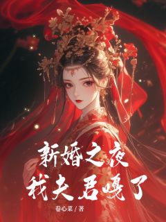 新婚之夜我夫君嘎了完整阅读