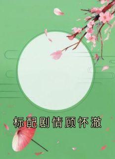 标配剧情顾怀澈全本阅读