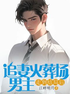 追妻火葬场男主走到结局后全文版