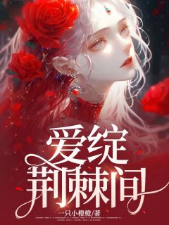 爱绽荆棘间精选小说推荐