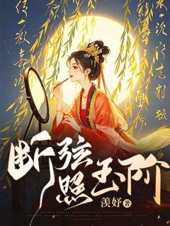 断弦照玉阶全集小说
