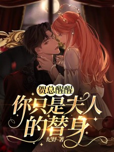 贺总醒醒，你只是夫人的替身全文阅读