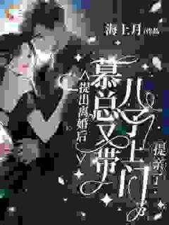 提出离婚后，慕总又带儿子上门提亲了！热门小说