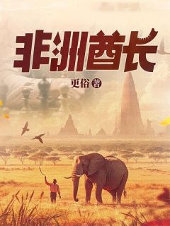 非洲酋长高质量小说