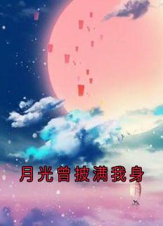 月光曾披满我身精选小说