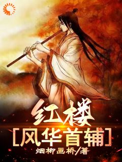 红楼：风华首辅长篇小说