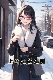 上流社会准则精选小说