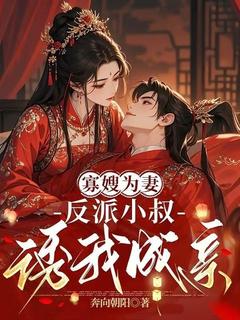 寡嫂为妻，反派小叔诱我成亲精选小说推荐