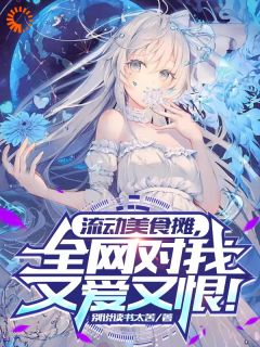 流动美食摊，全网对我又爱又恨！畅销巨著