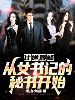 仕途巅峰：从女书记的秘书开始全文版