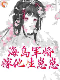 下乡海岛，嫁绝嗣军官一胎双宝畅销小说推荐