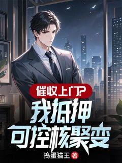 催收上门？我抵押可控核聚变全集小说