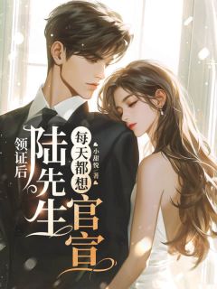 领证后，陆先生每天都想官宣全文版