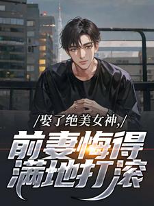 娶了绝美女神，前妻悔得满地打滚完整文集阅读